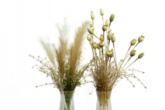 17 Suvo cveće za dekoraciju   